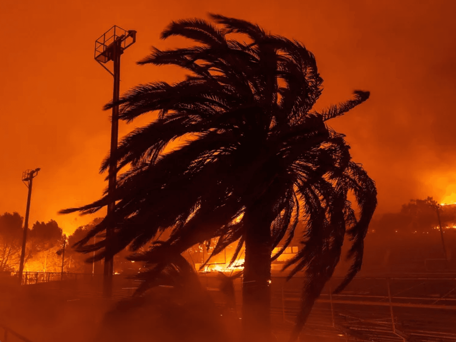 Incendios en California 2025: causas y devastación en Los Ángeles