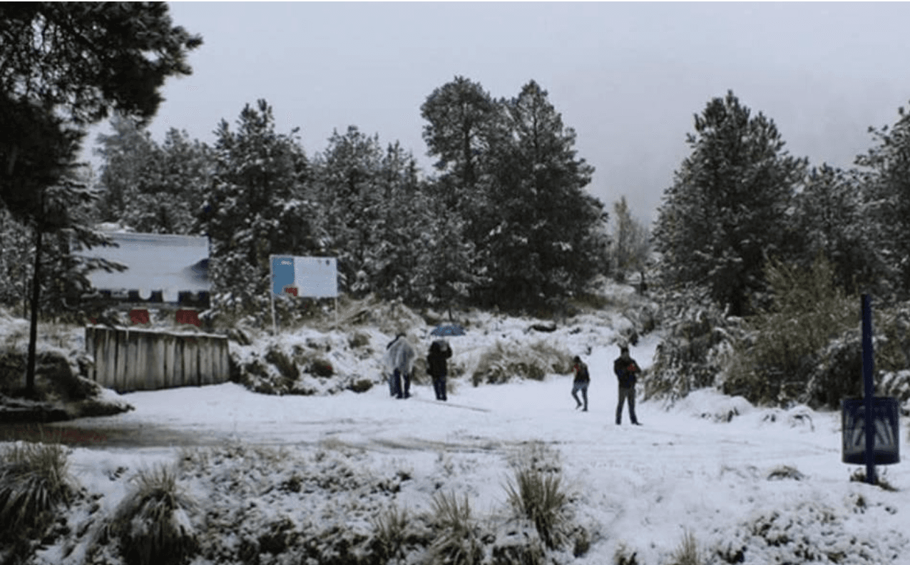 Frente frío 23 y masa de aire helado generarán temperaturas extremas en México