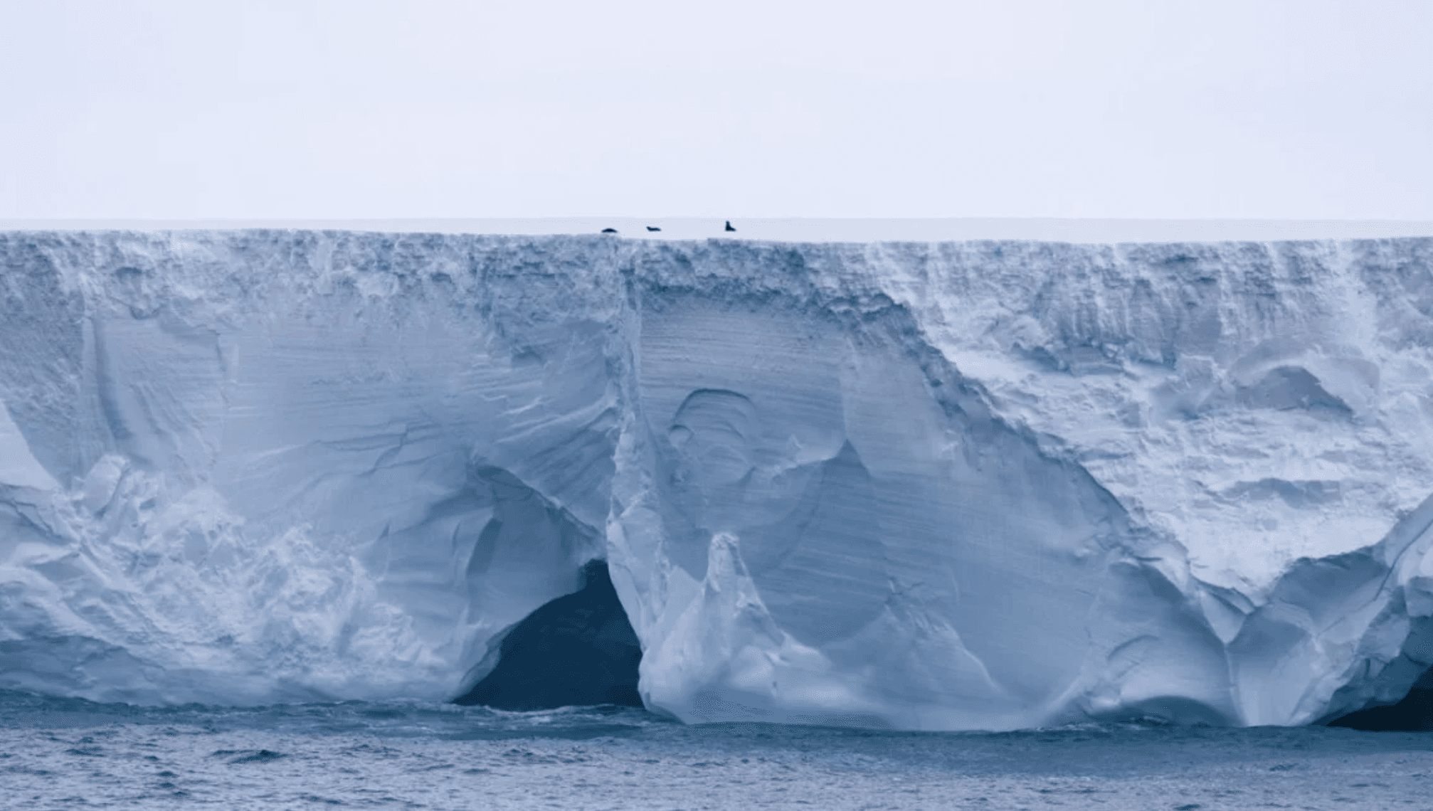 Tensión por el movimiento del iceberg más grande hacia la isla Georgia del Sur
