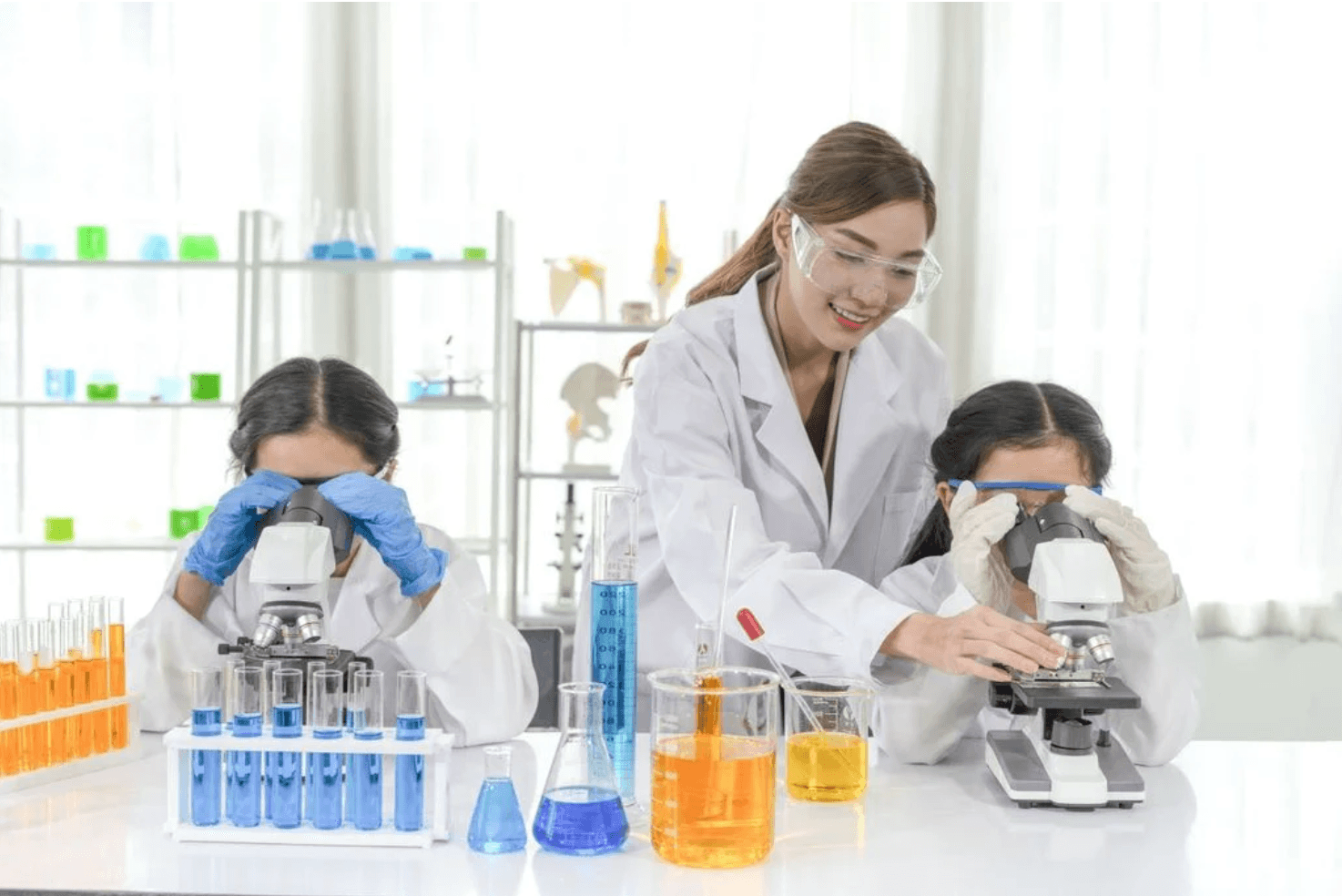 Día internacional de la mujer y la niña en la ciencia 2025: un llamado a la equidad y la participación femenina en la ciencia