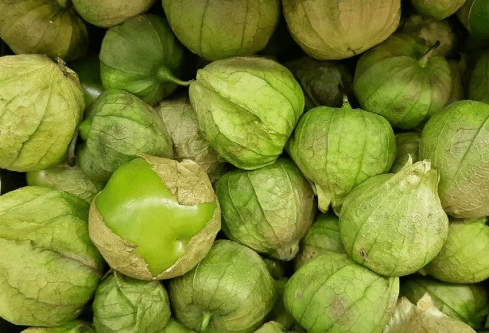 Inflación en la primera quincena de marzo: tomate verde y limón a la cabeza