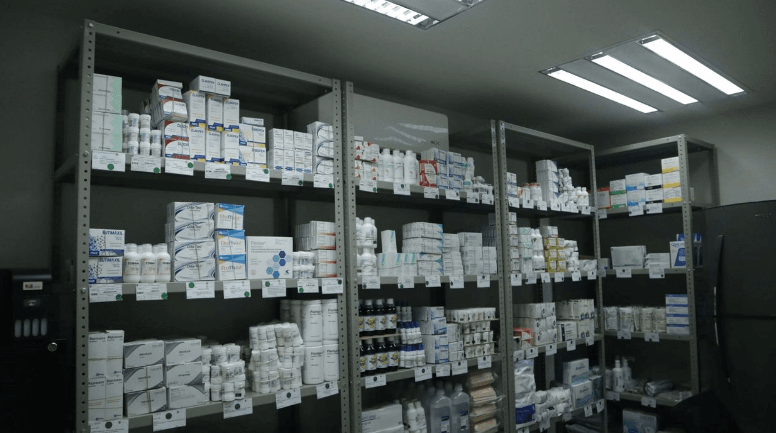 Biomics Lab México inhabilitada para licitaciones públicas, confirma Sheinbaum