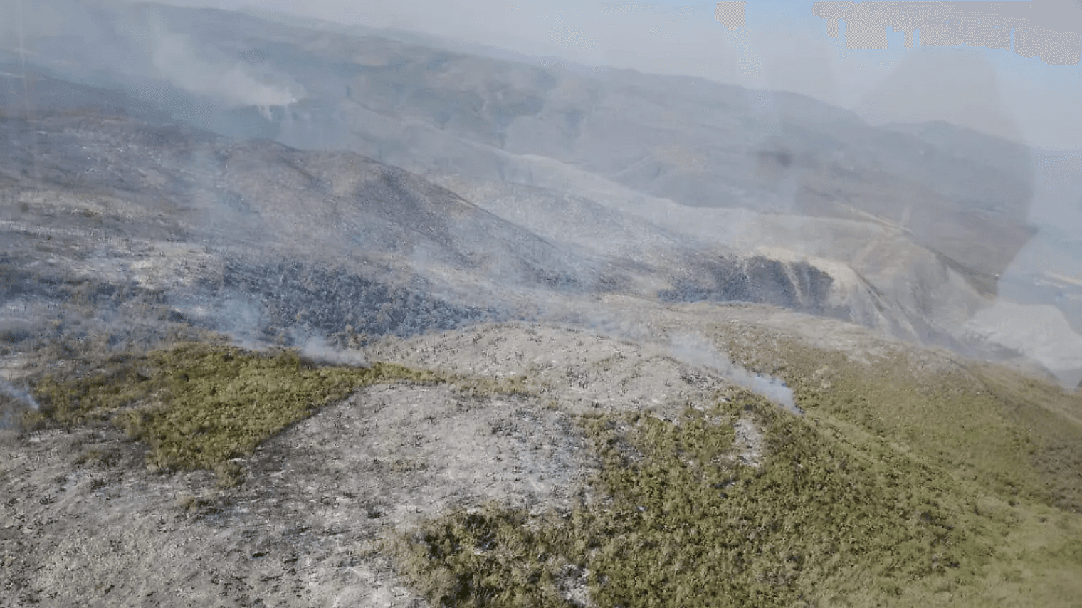 San Luis Potosí suma 767 hectáreas dañadas por incendios forestales