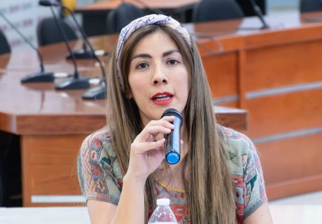 Acordeones para recordar a candidatos podrían causar impugnaciones en elecciones judiciales