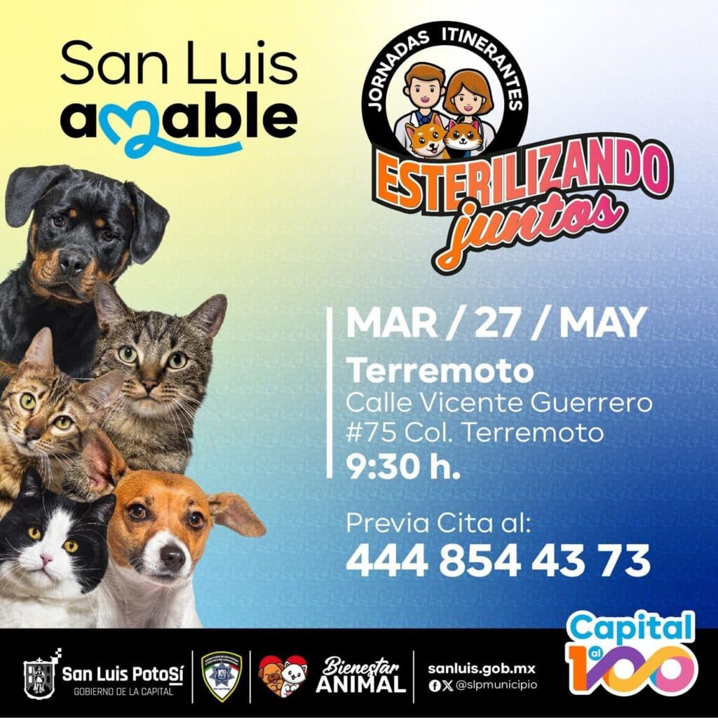 Esterilizará Ayuntamiento a perritos y gatitos de manera gratuita