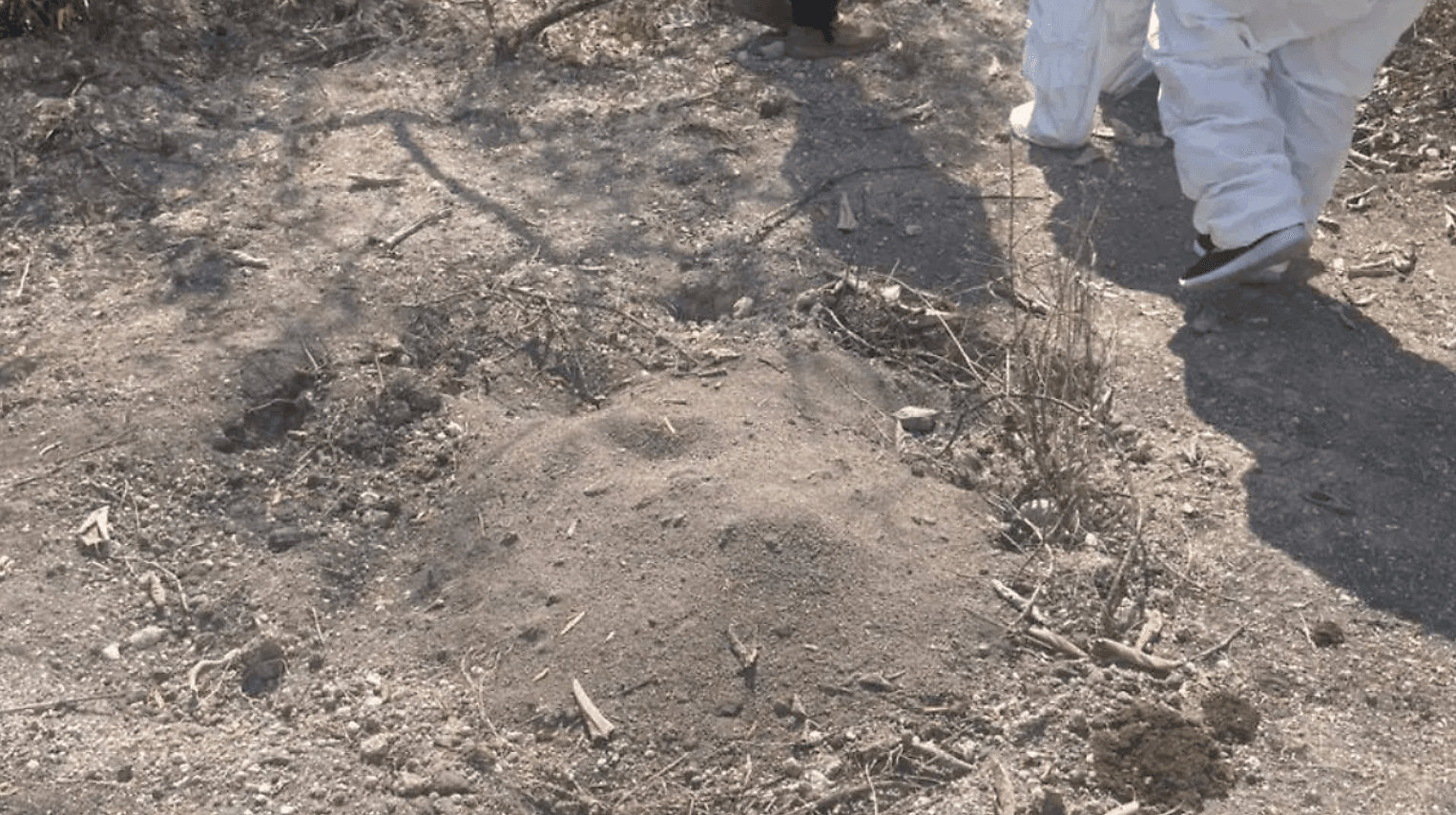 Avanza análisis de restos óseos hallados en fosas de San Luis Potosí