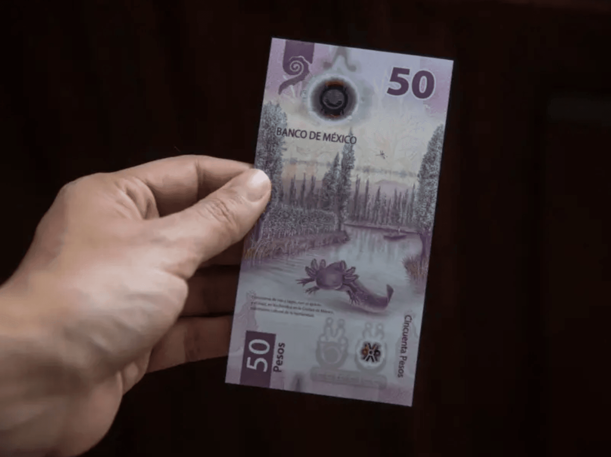 El billete de 50 pesos con ajolote se convierte en objeto de colección