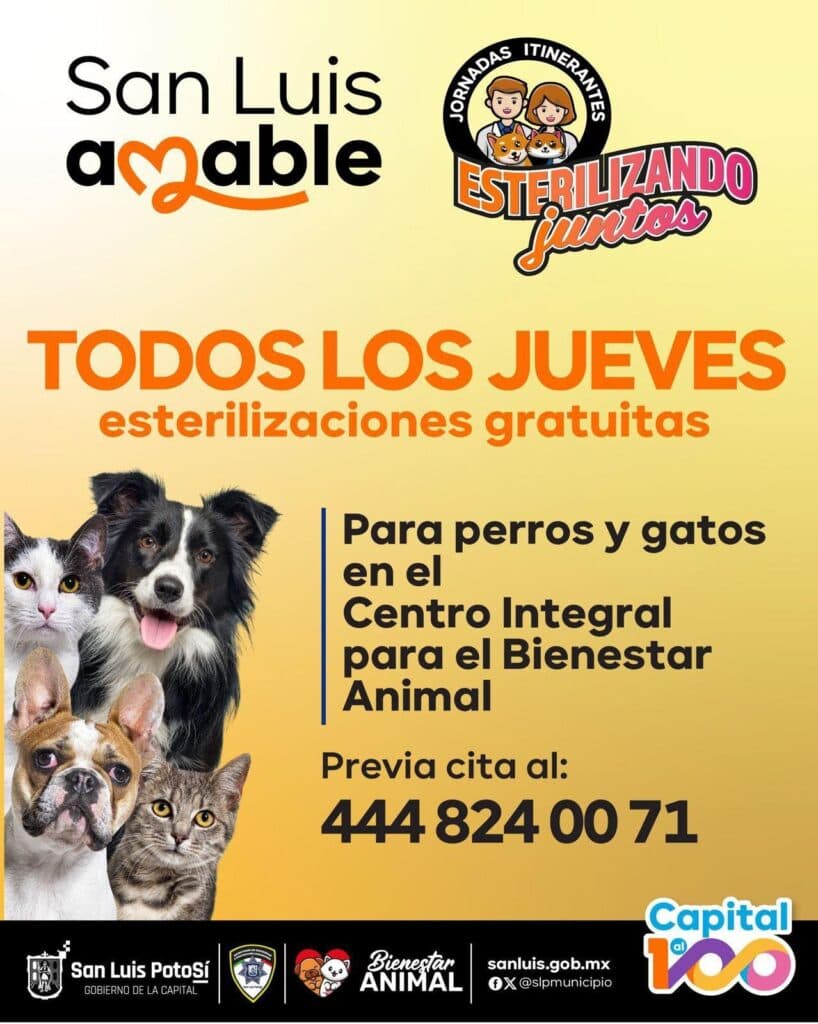 Llevarán a cabo jornadas de esterilización de animales en la Capital Potosina