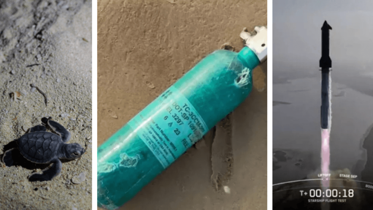 Explosiones de cohetes de SpaceX afectan a fauna marina y comunidades en Tamaulipas