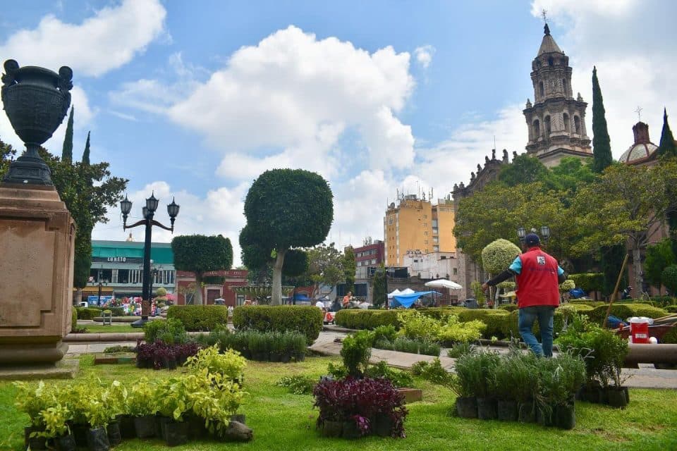 Trabaja Ayuntamiento en proyecto de reforestación del Centro Histórico