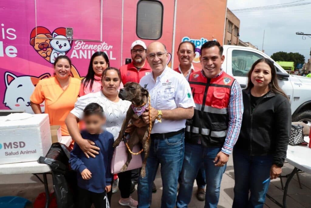 Esperan su adopción más de 50 animalitos rescatados en Plaza Fundadores