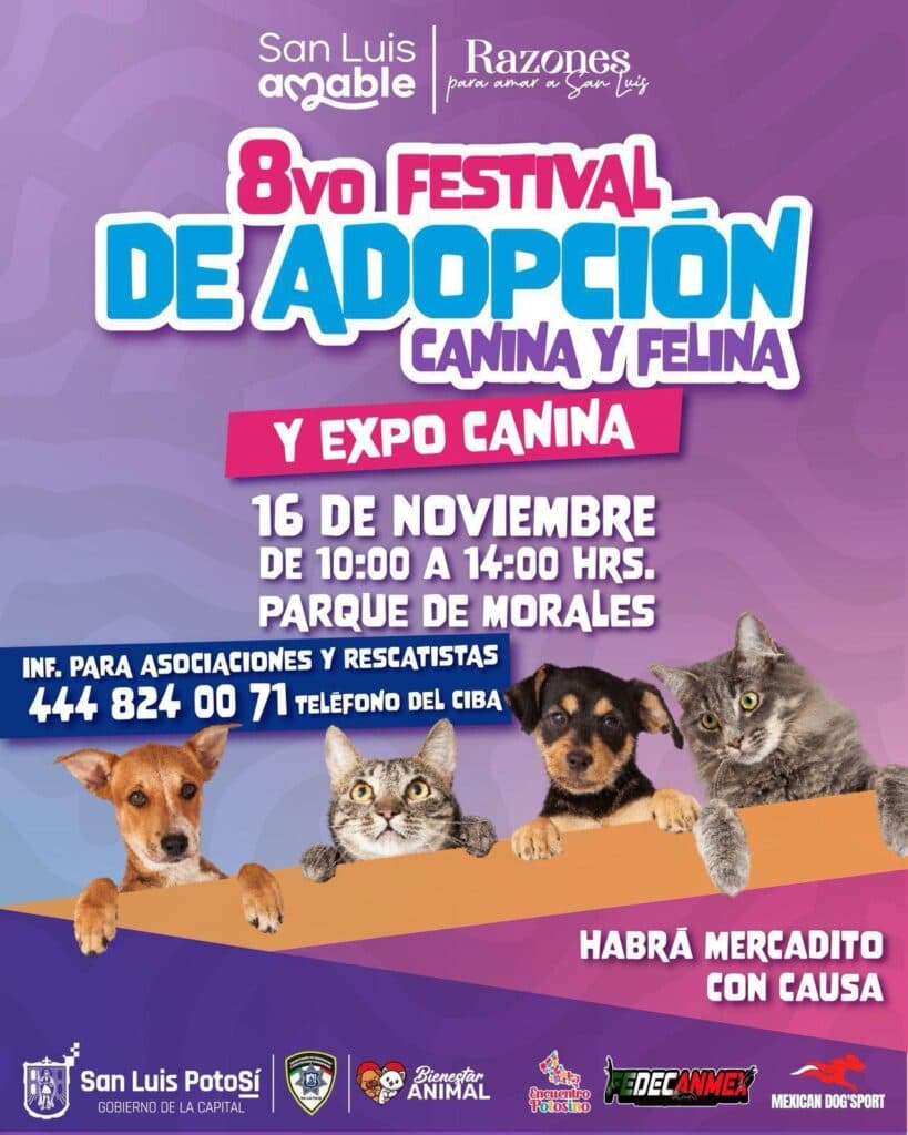 Realizarán 8va edición del Festival de Adopción Canina y Felina en la Capital