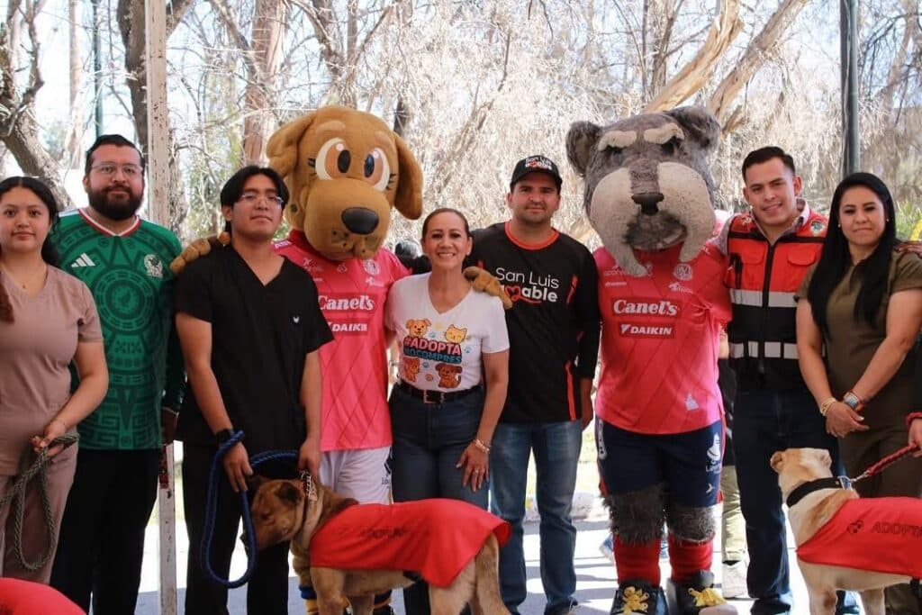 Encuentran hogar 46 animalitos en Jornada Municipal de Adopción 2025